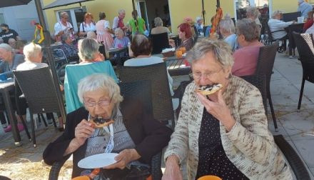 Aktivizační činnosti terapie Domov Alzheimer Most
