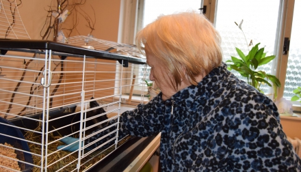 Domov Alzheimer Darkov úklid mazlíčci