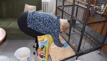 Domov Alzheimer Darkov úklid mazlíčci