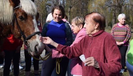 Domov Alzheimer Darkov kůň