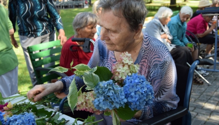 Domov Alzheimer Darkov srpen kytičky