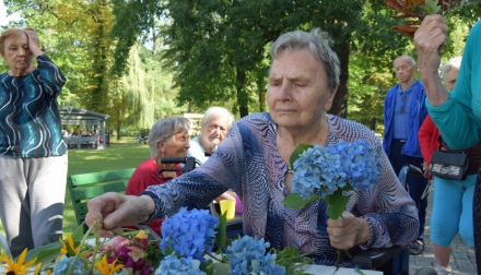 Domov Alzheimer Darkov srpen kytičky