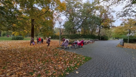 Domov Alzheimer Darkov Říjnové aktivizace