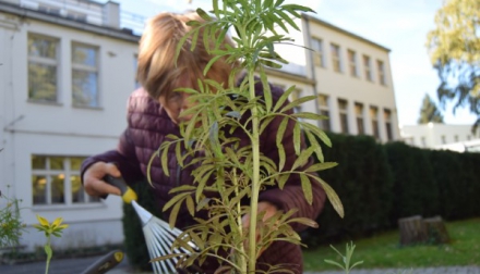 I podzimní darkovská zahrada potřebuje naši péči