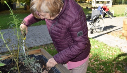I podzimní darkovská zahrada potřebuje naši péči